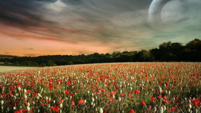 ***剪辑软件有什么推荐的吗？